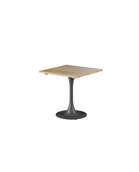 Stolik Arioso z blatem drewnianym