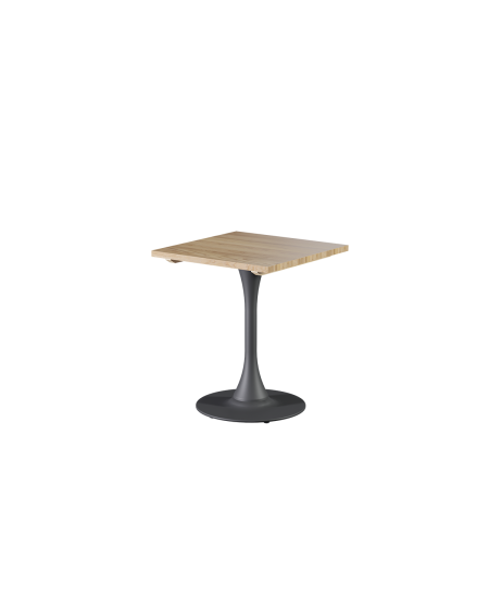 Stolik Arioso z blatem drewnianym