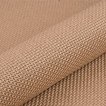 BRAID-3009