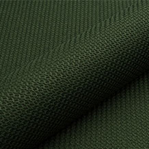 BRAID-3019