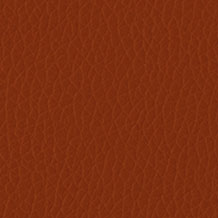 DOLARO-0017