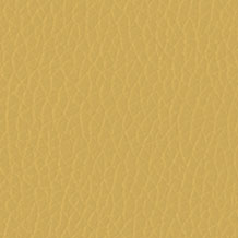 DOLARO-0025